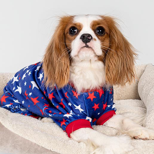 4th of best sale july dog clothes