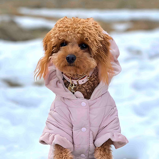 Fitwarm Ruffle Quilted Dog Coat, Pet Puffer Jacket with Hood, Dog Winter Clothes for Small Dogs Girl, Cat Hooded Outfit, Pink, Small