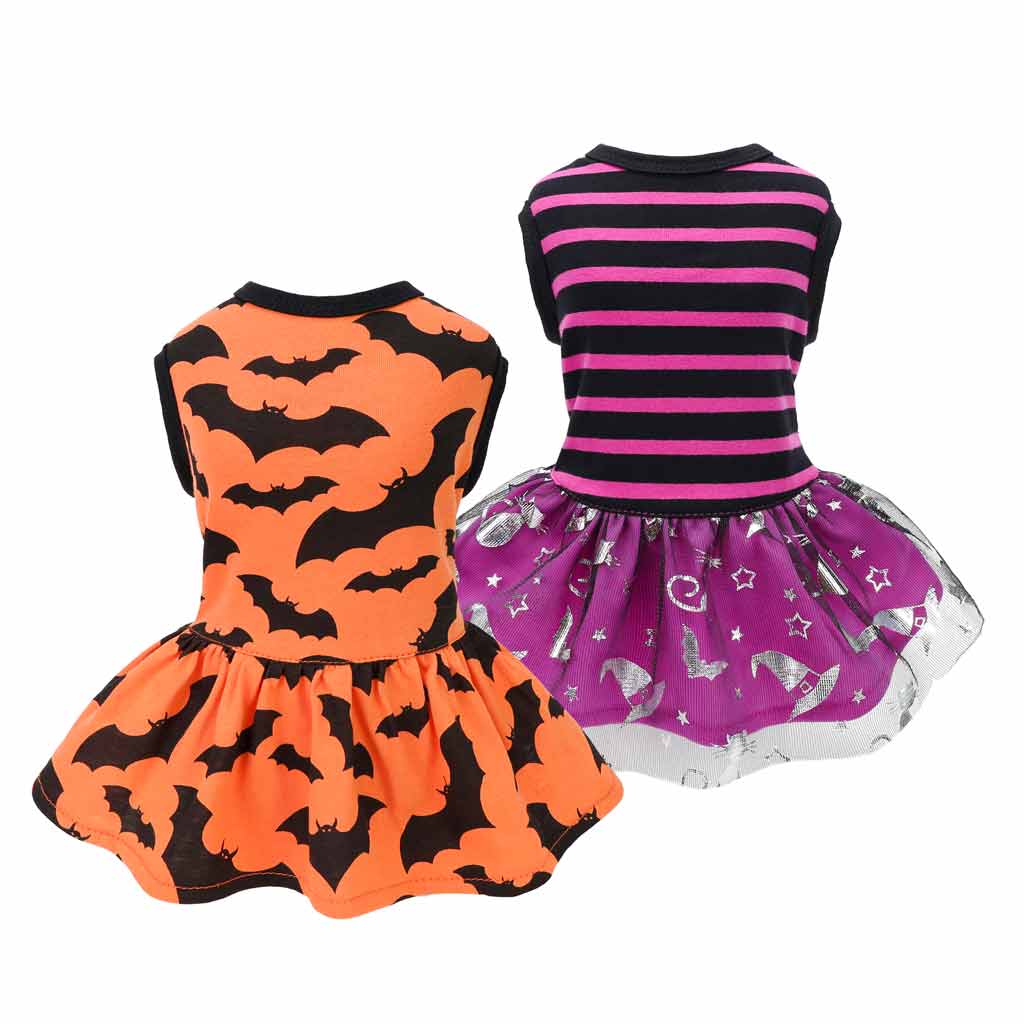 Fitwarm Hocus Pocus Y'All Funny Dog Halloween Tulle Dress, Holiday Dog  Clothes for Small Dogs Girl, Funny Pirate Skull Pet Costume, Witch Cat  Outfit