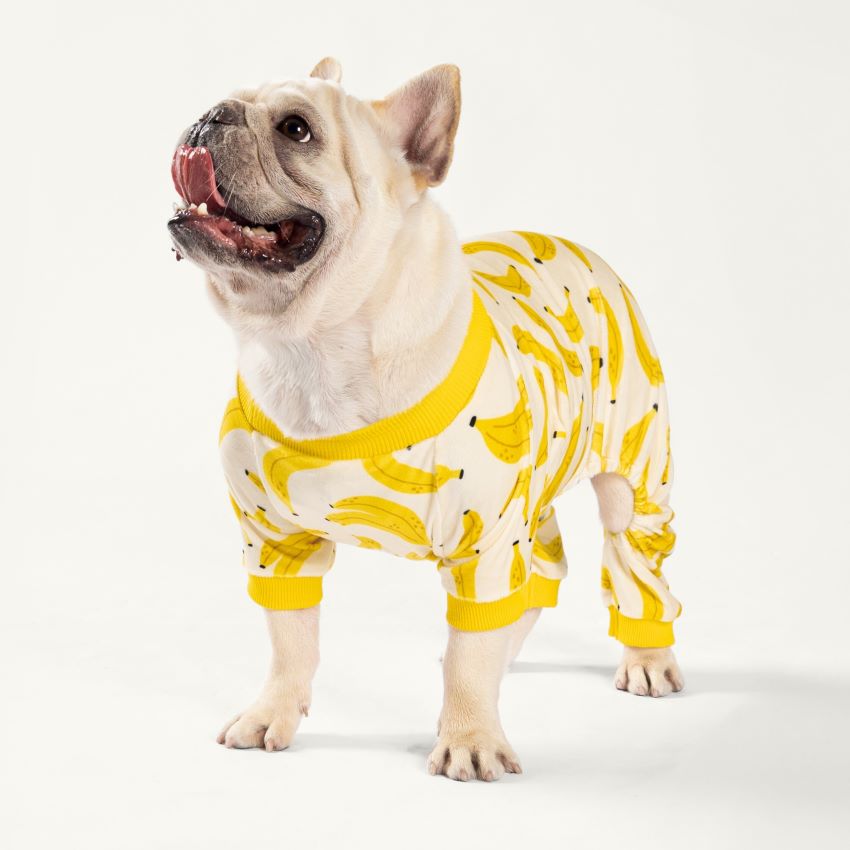 Banana Dog Onesie for Frenchie