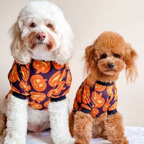 How to Host a Dog-Friendly Halloween Party？ – Fitwarm