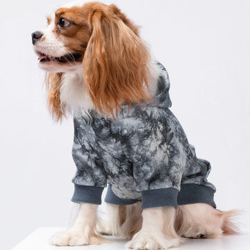 Fitwarm Official Website | Designer Dog Clothes