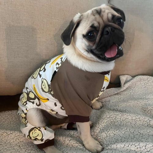 Pug Costume Pug Shirt Pug Clothes Fitwarm