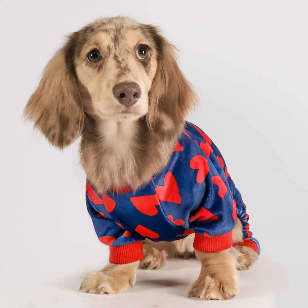 Dachshund in Dog Footie Pajamas with Bold Heart Prints - Dachshund Apparel for Dogs - Fitwarm Dog Clothes