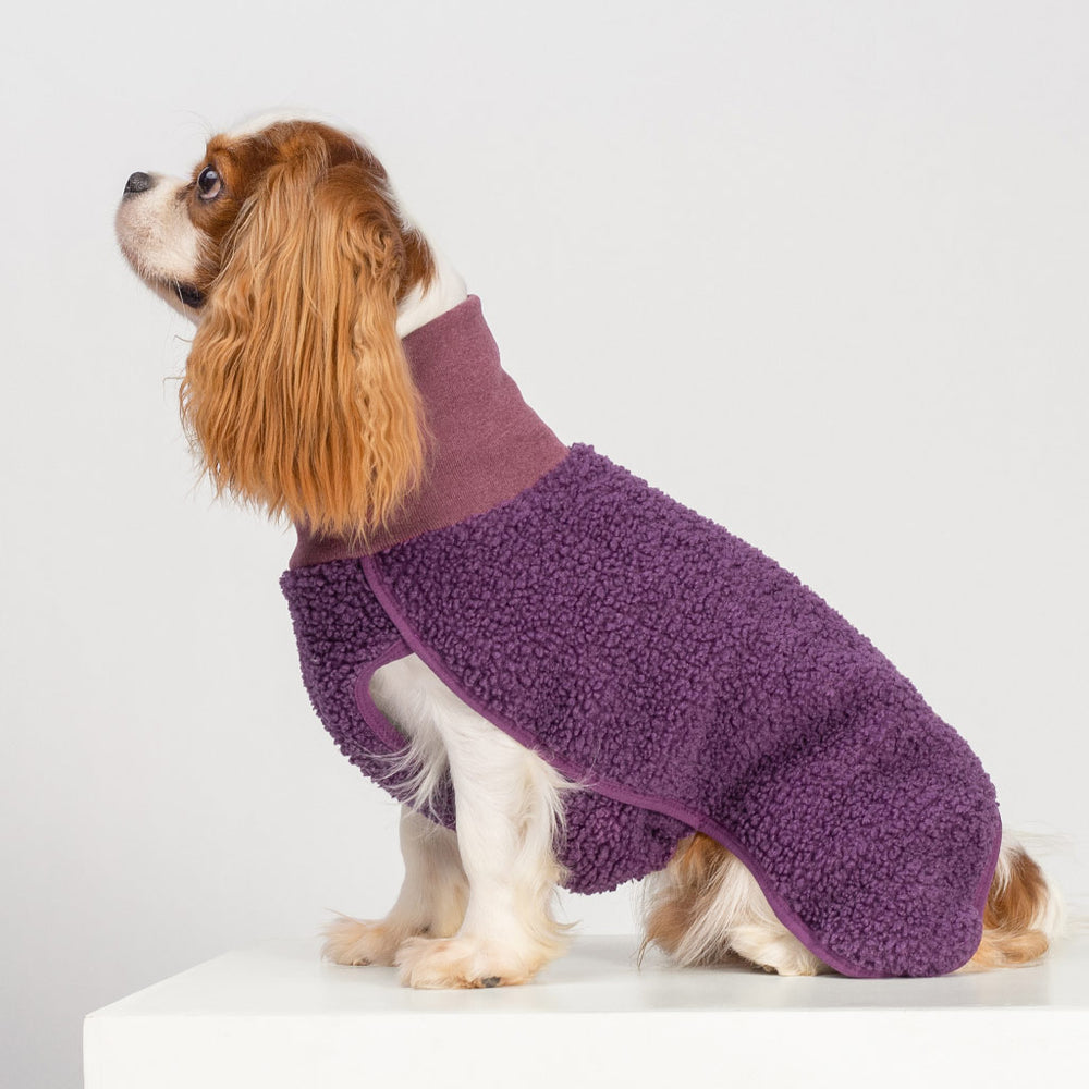 Sherpa Turtleneck Dog Sweater - Fitwarm Dog Clothes