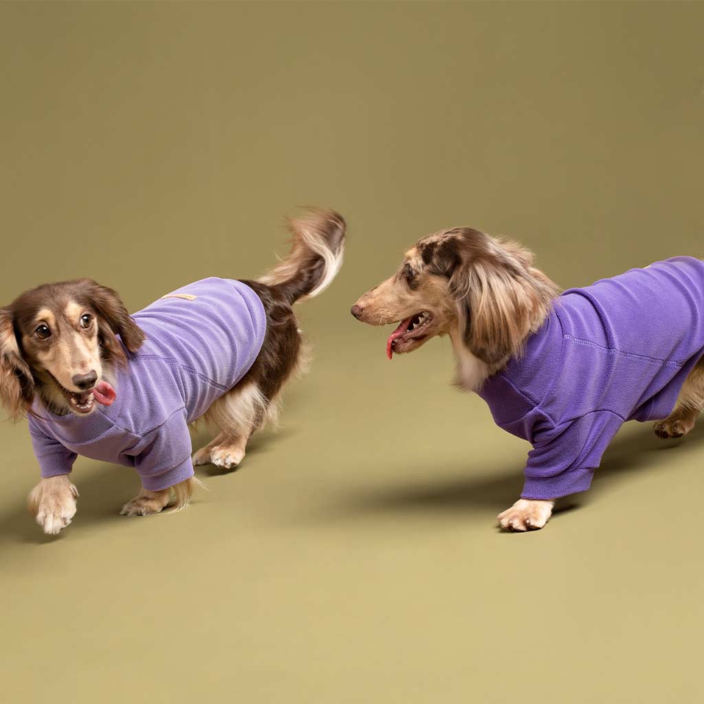 Warm Fleece Dog Sweater for Dogs - Fitwarm Dog Clothes