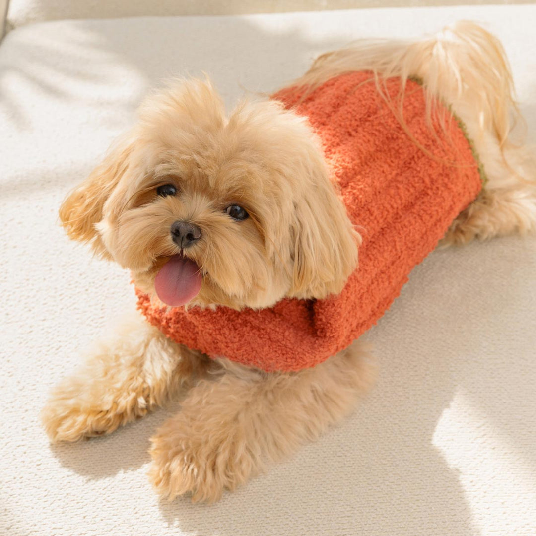 Cozy Knitted Sweater for Dogs - Fitwarm Dog Clothes