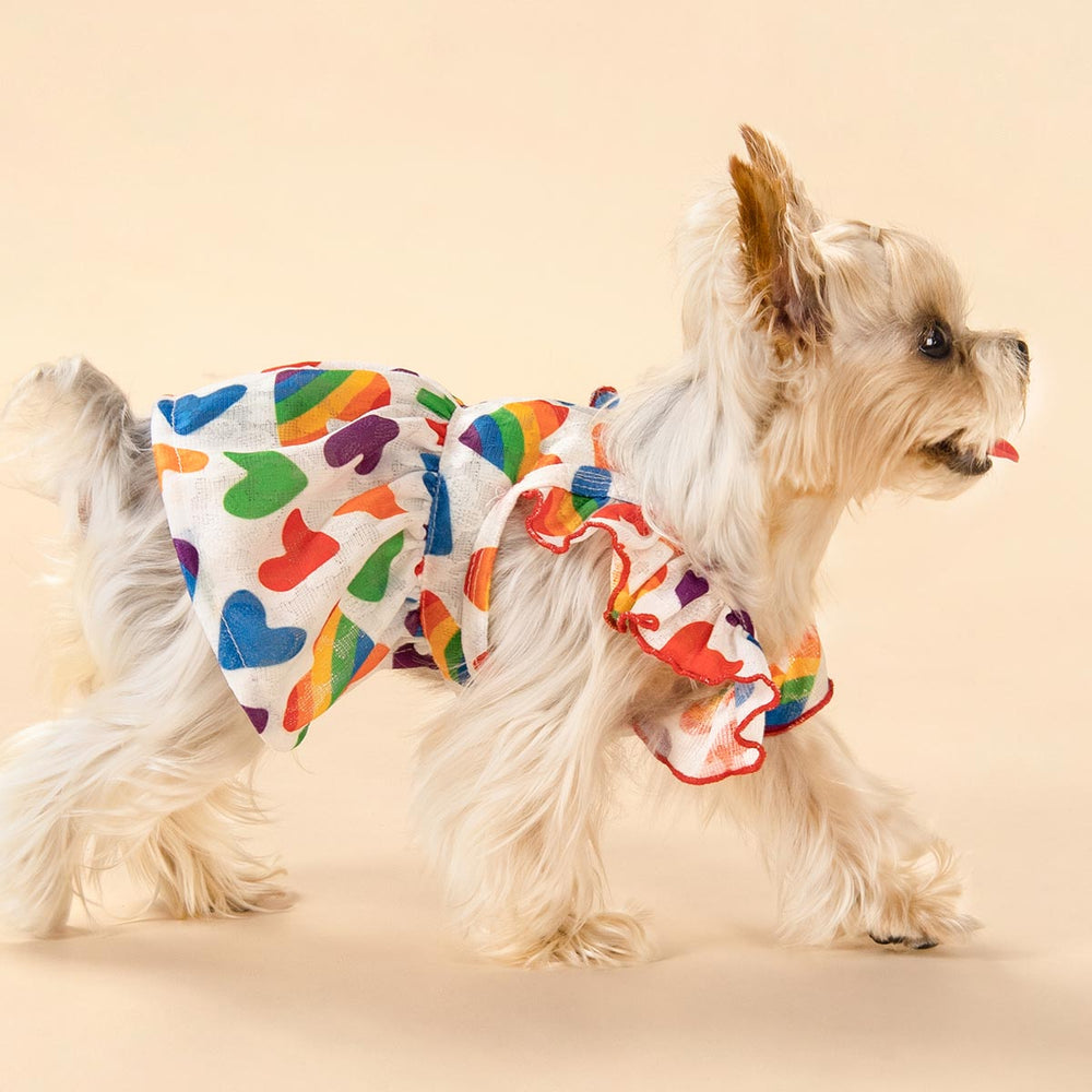 Yorkie in a Colorful Heart Dog Summer Dress - Fitwarm Dog Clothes