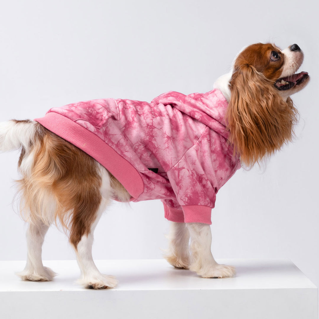 Stylish Tie Dye Dog Hoodie - Fitwarm Dog Clothes