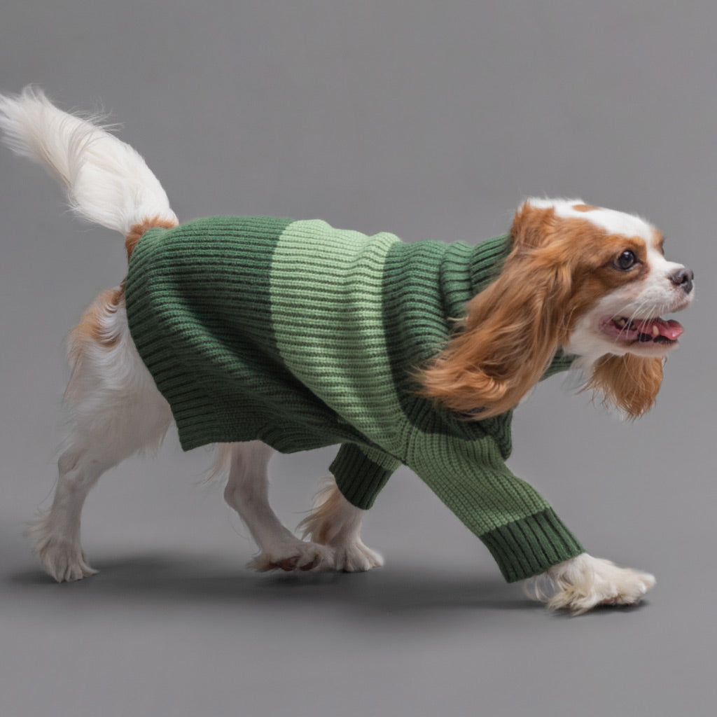 Turtleneck Dog Winter Sweater - Fitwarm Dog Clothes