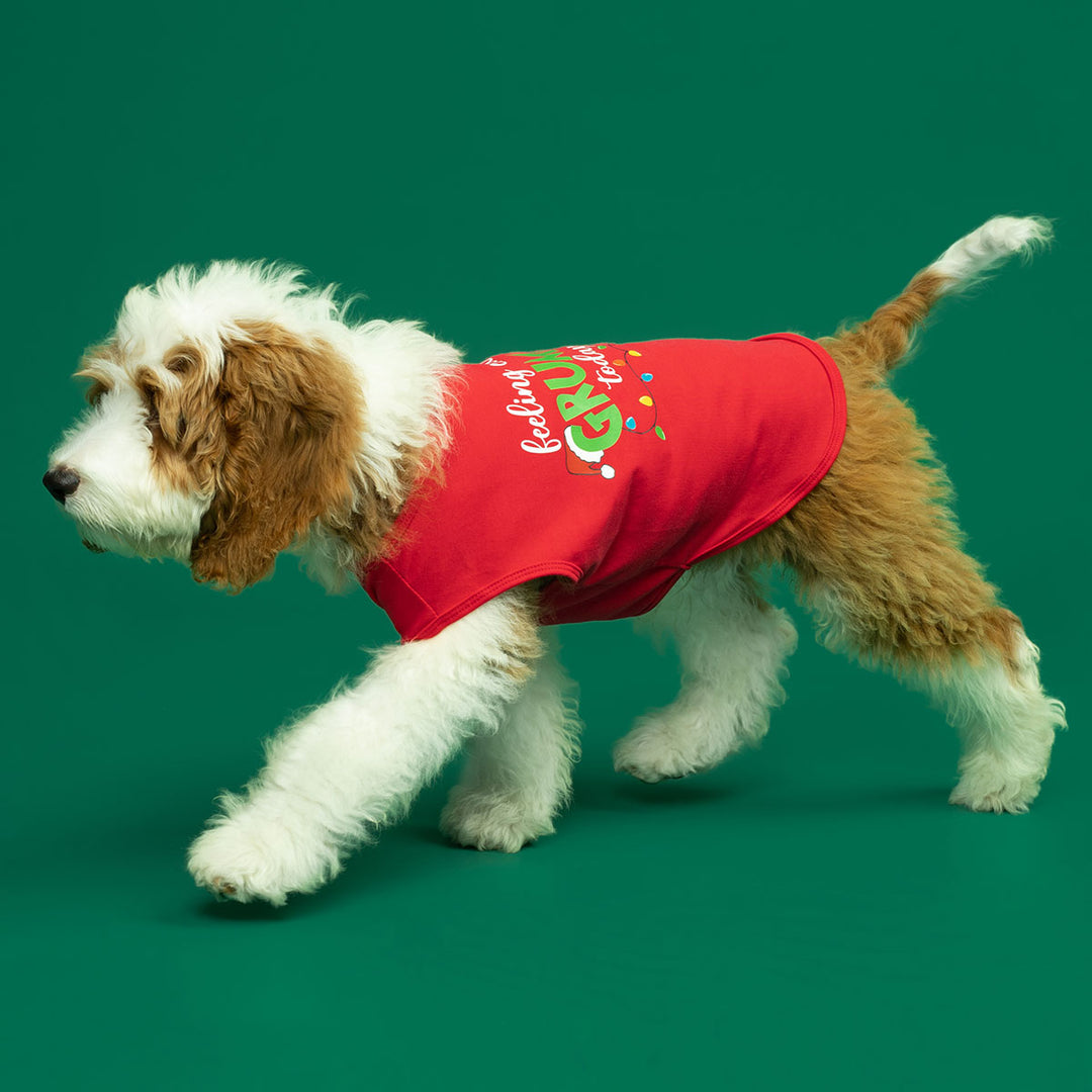 Fitwarm Dog Christmas Shirt - Fitwarm Dog Christmas Outfit