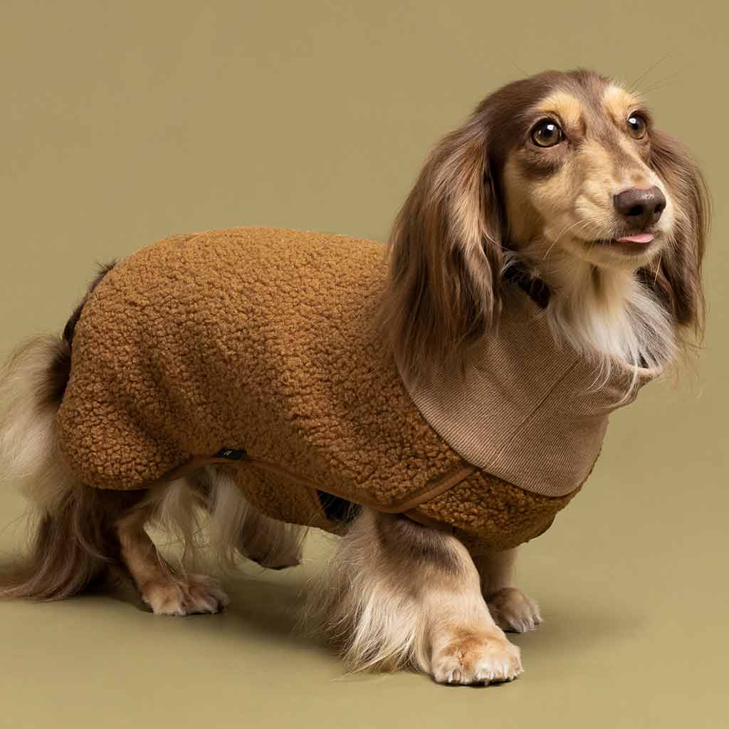 Brown Turtleneck Sweater for Dogs - Fitwarm Dog Clothes