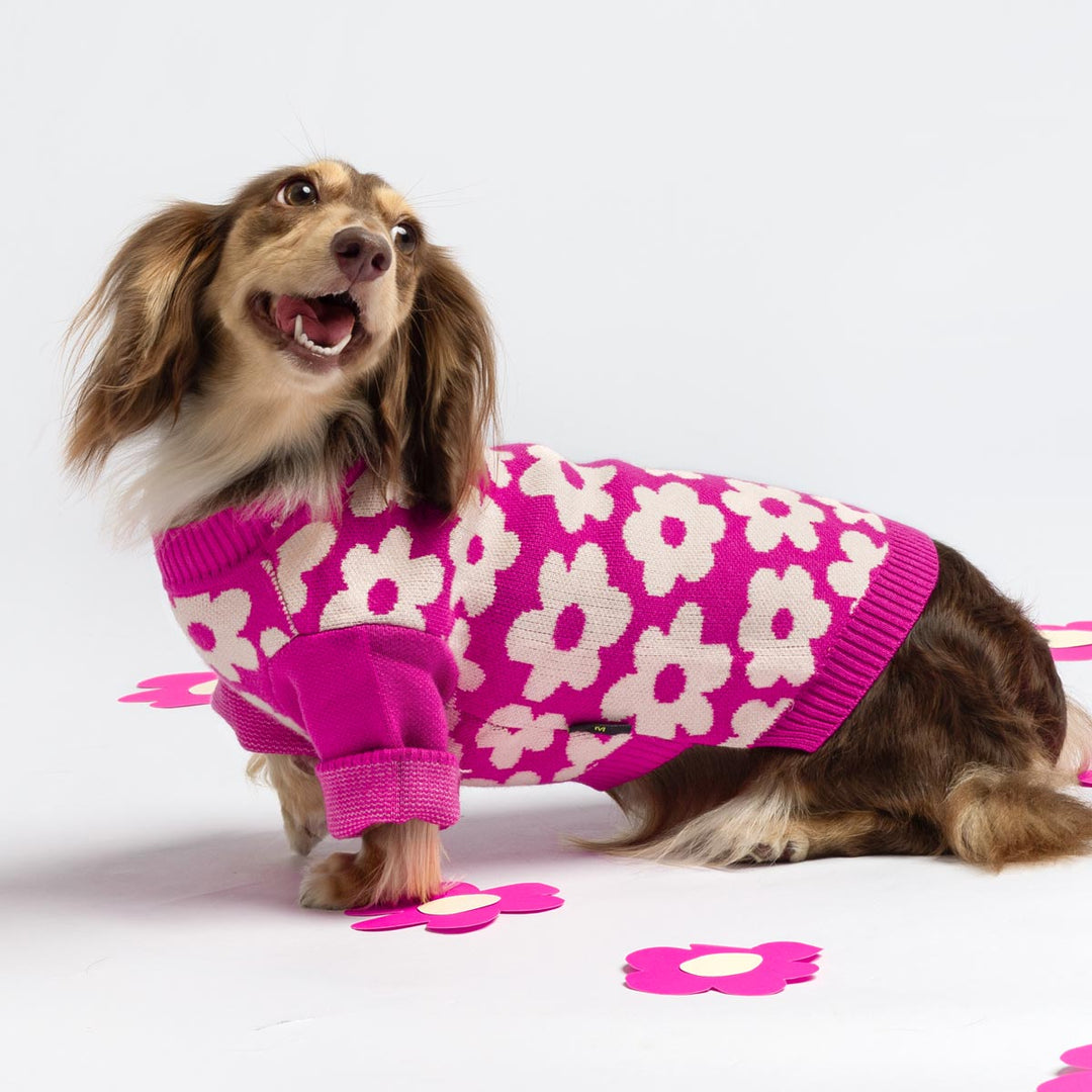 Floral Dog Sweater for Dogs - Fitwarm Dog Clothes