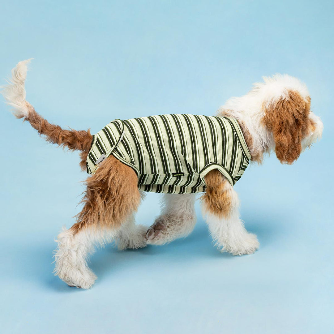 Striped Dog Recovery Suit - Fitwarm Dog Surgery Suit