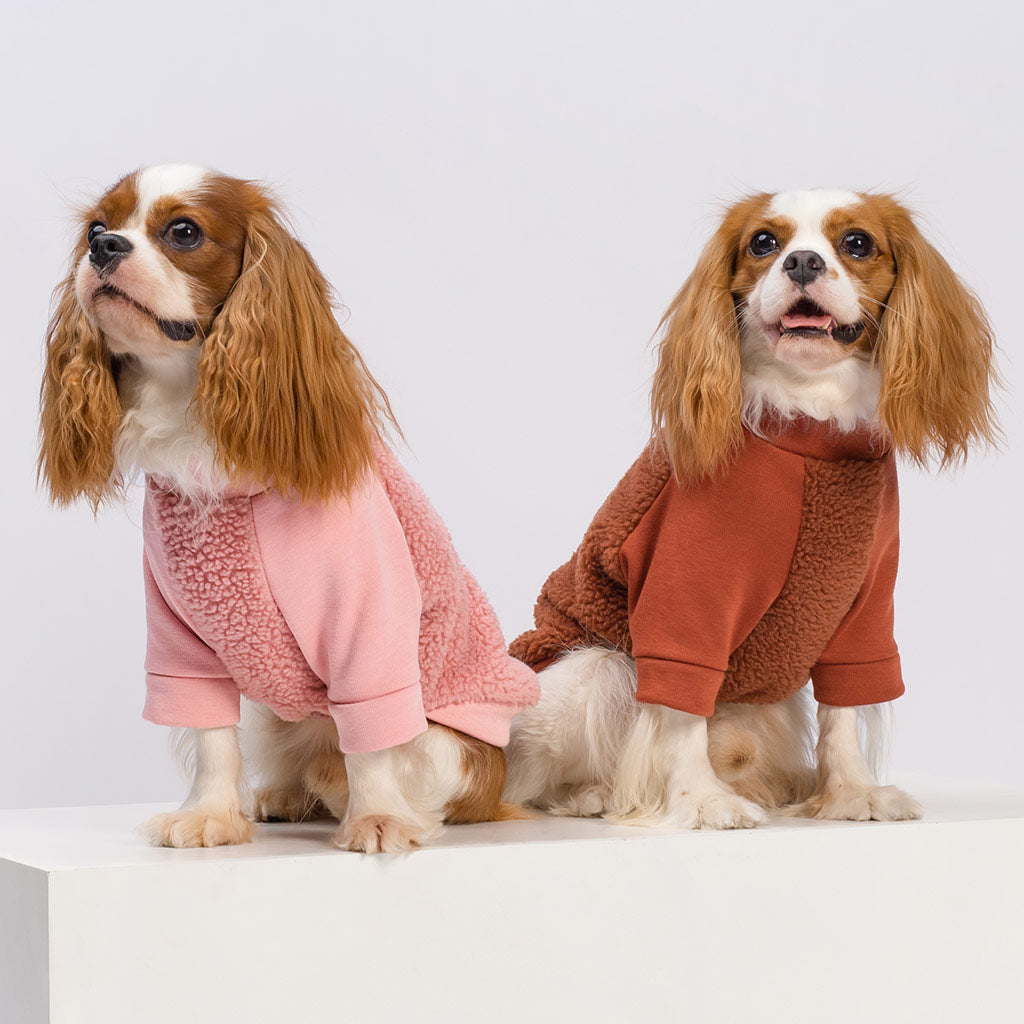 Cozy Winter Dog Sweater - Fitwarm Dog Clothes