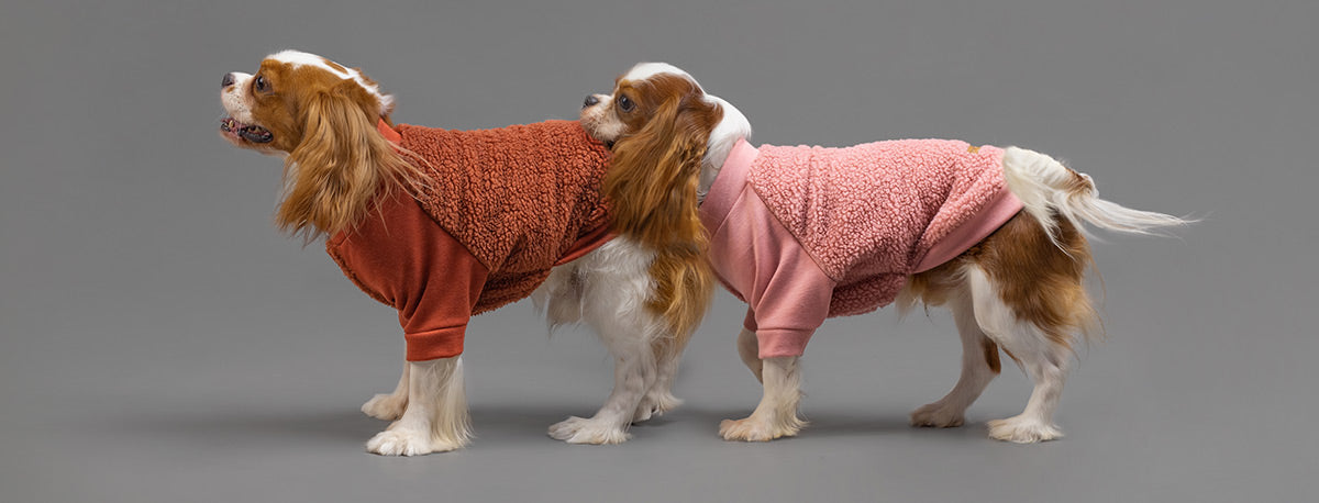 Fuzzy Sherpa Sweater for Dogs - Fitwarm Dog Clothes