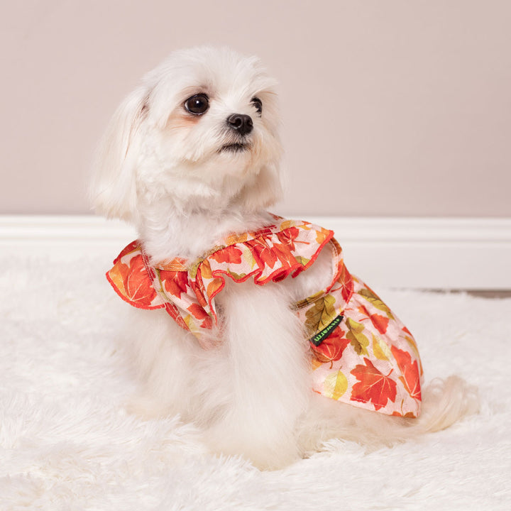 Charming Ruffle Maple Dog Dress - Fitwarm Dog Clothes