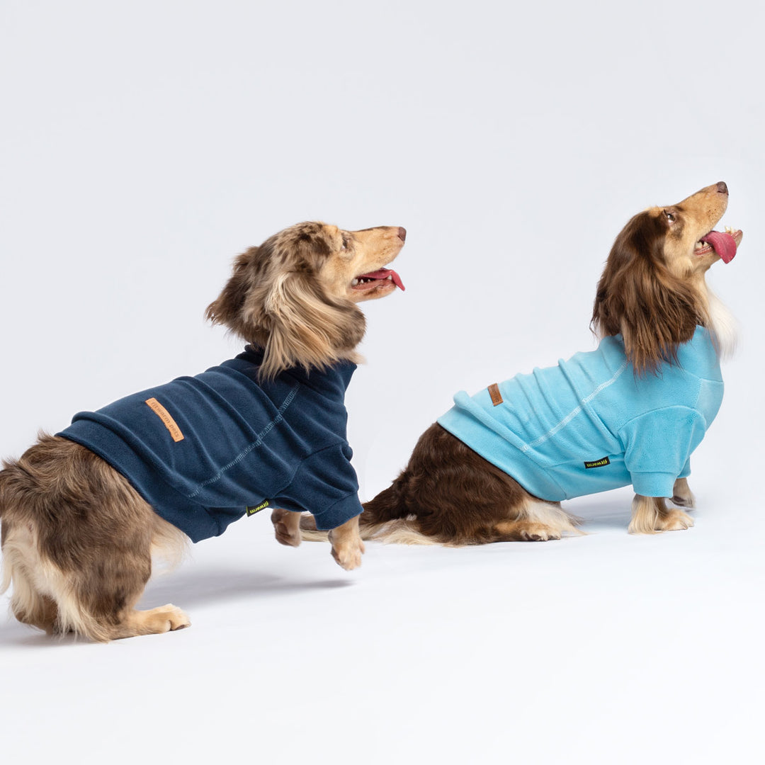 Warm Turtleneck Sweater Designed for Winter - Fitwarm Dog Clothes