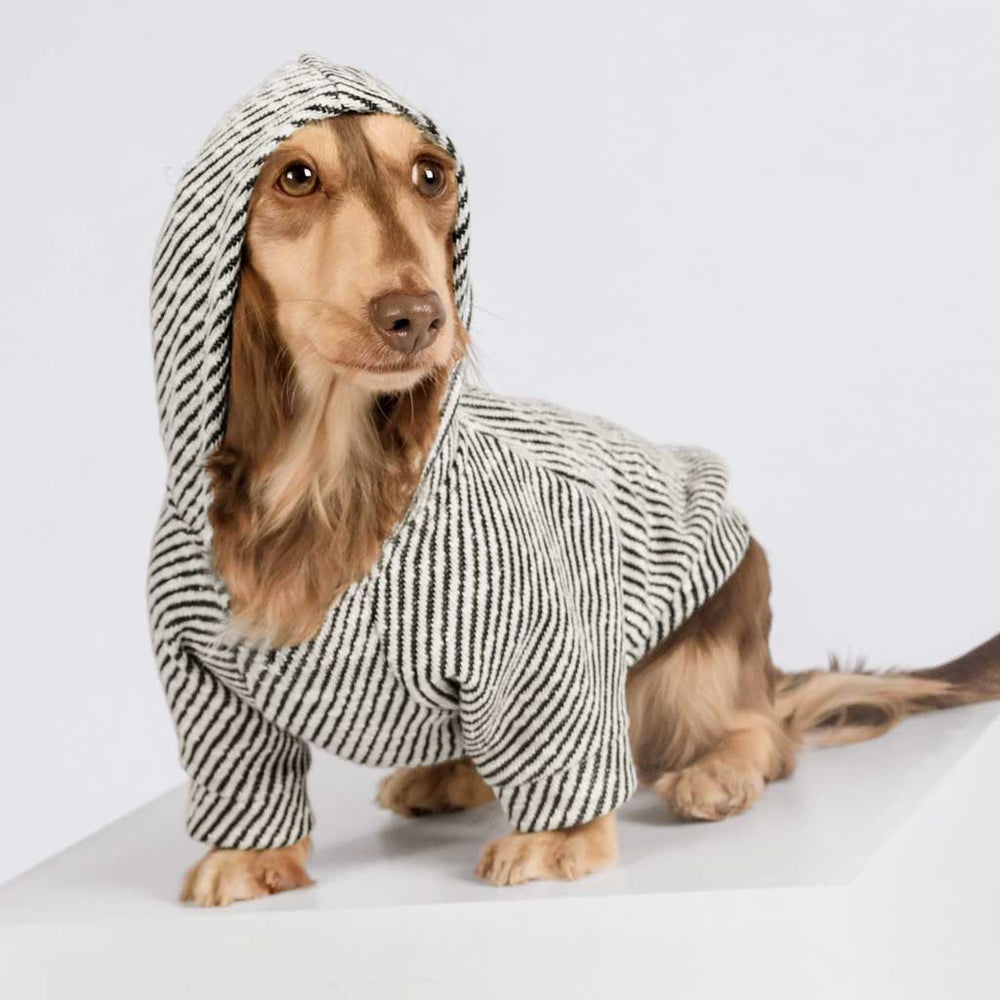 Stylish Sliver Striped Dog Hoodie for Dachshund - Dachshund Apparel for Dogs - Fitwarm Dog Clothes
