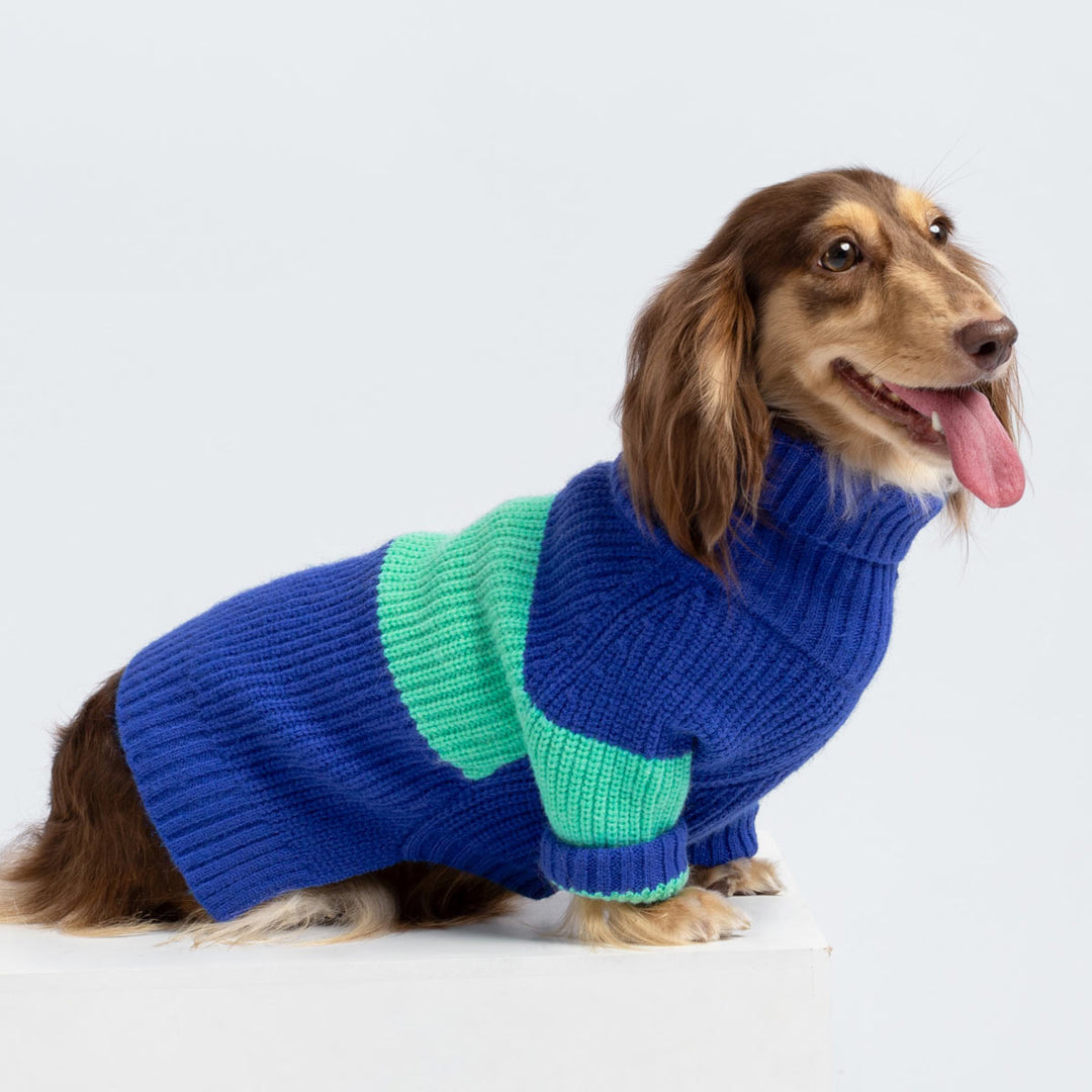 Cozy Turtleneck Sweater for Dogs - Fitwarm Dog Clothes