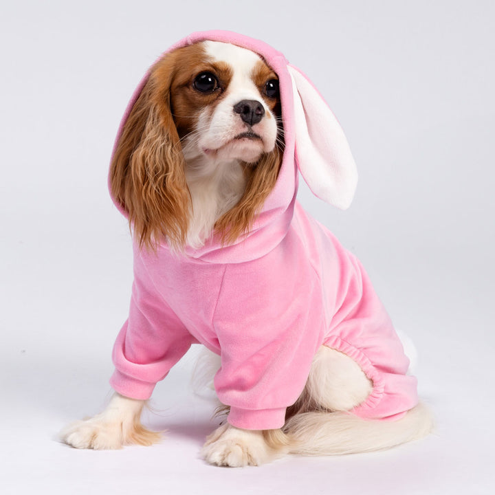 Adorable Bunny Costume for Dogs - Fitwarm Dog Clothes