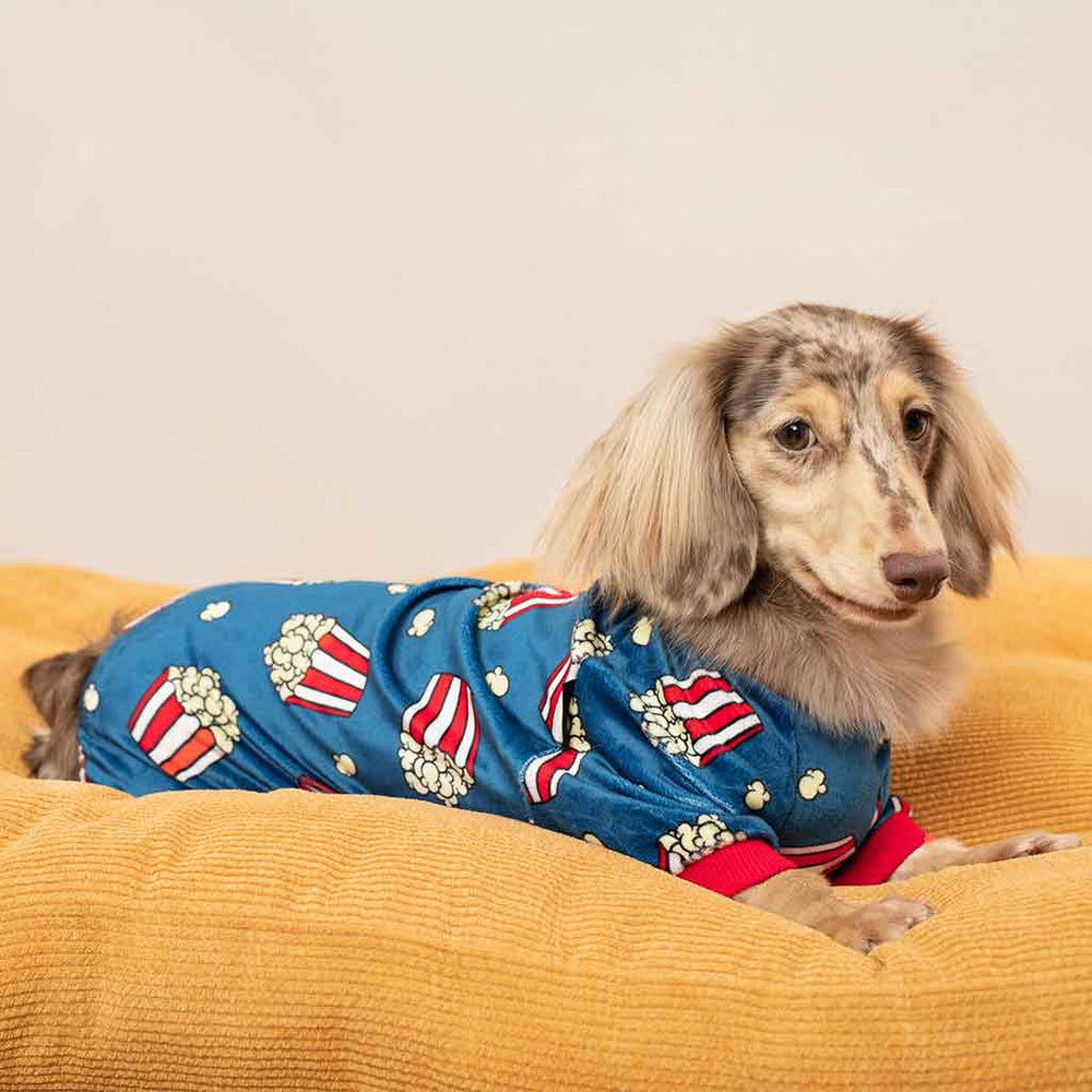 Dachshund in a Funny Popcorn Dog Onesie - Fitwarm Dog Clothes