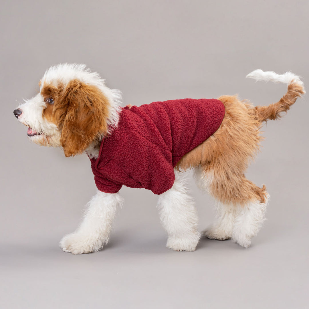 Cozy Winter Dog Sweater - Fitwarm Dog Clothes