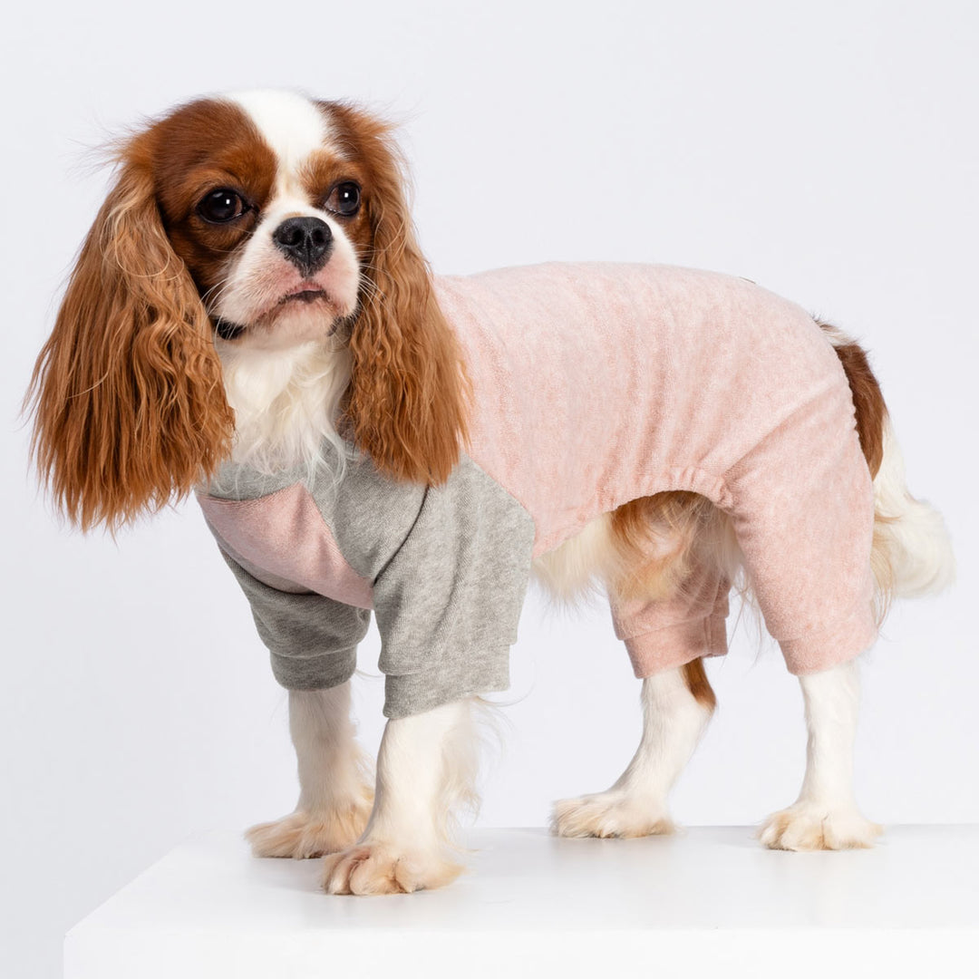 Stylish Raglan Onesie for Dogs - Fitwarm Dog Clothes