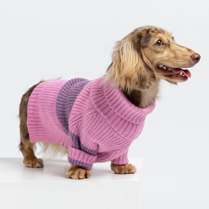 Cozy Turtleneck Sweater for Dogs - Fitwarm Dog Clothes