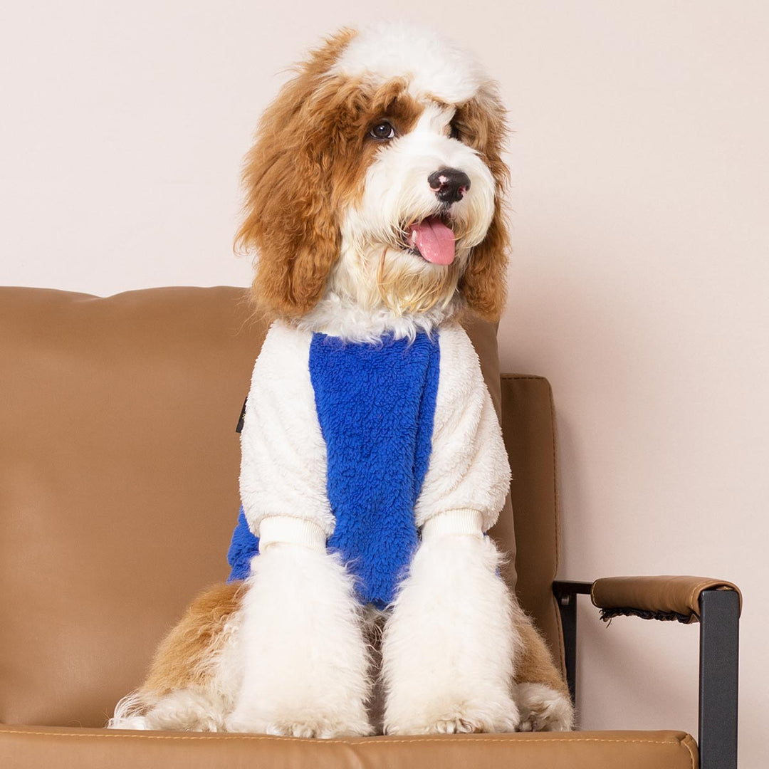 Cozy Sweater for Dogs - Fitwarm Dog Clothes