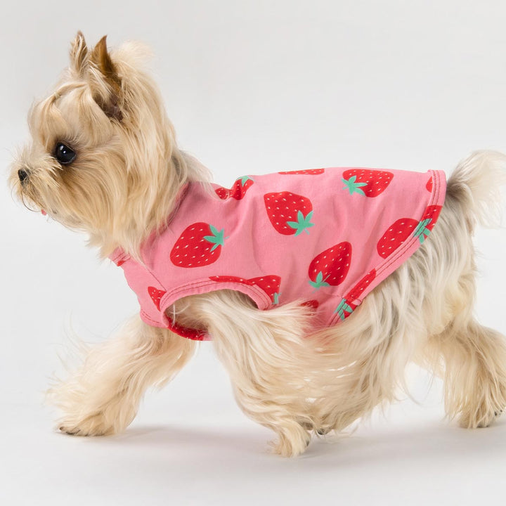 Cute Strawberry Summer Dog Tank Top for Yorkie - Fitwarm Dog Shirt