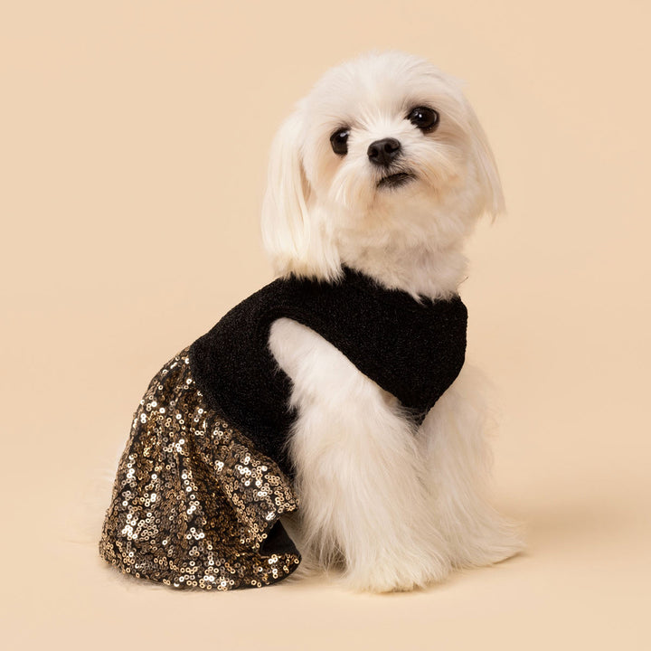 Charming Sparkly Dog Dress - Fitwarm Dog Clothes