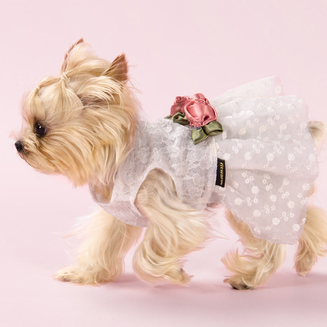 Lace Wedding Dog Dress for Yorkie - Fitwarm Dog Clothes