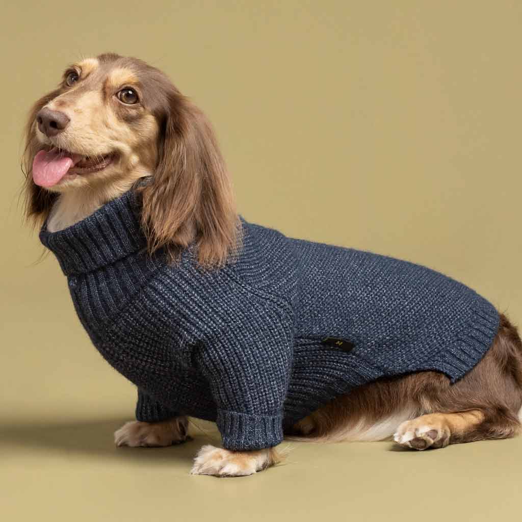 Dog sweater turtleneck fashion