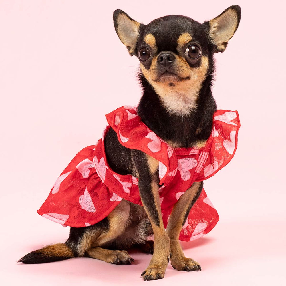 Valentine Dress for Dogs - Fitwarm Valentine Outfit