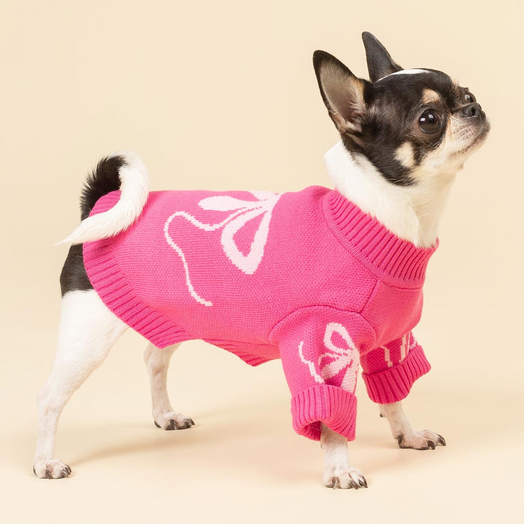 Dog Knitted Sweater - Fitwarm Dog Clothes