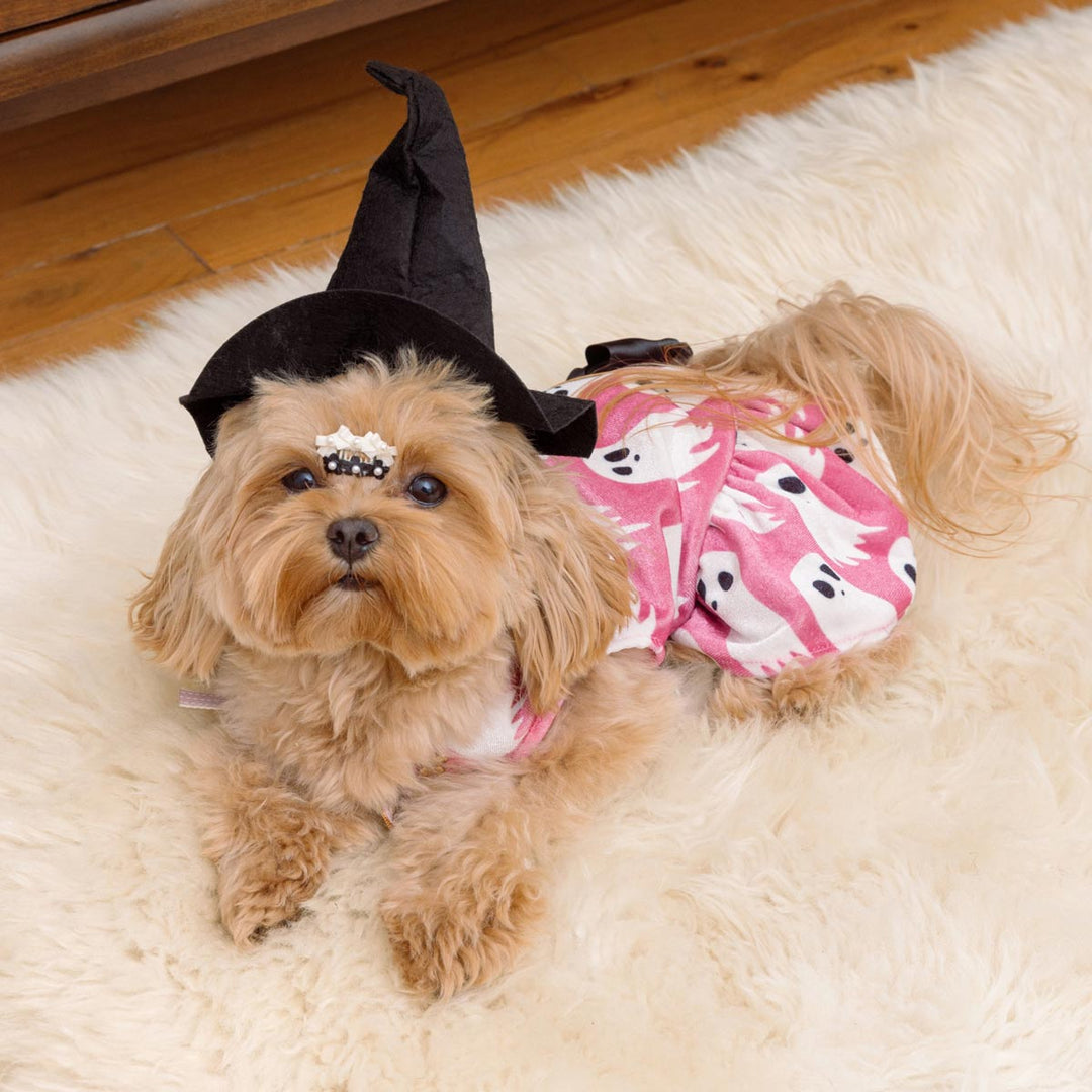 Funny Halloween Ghost Dress - Fitwarm Dog Clothes 