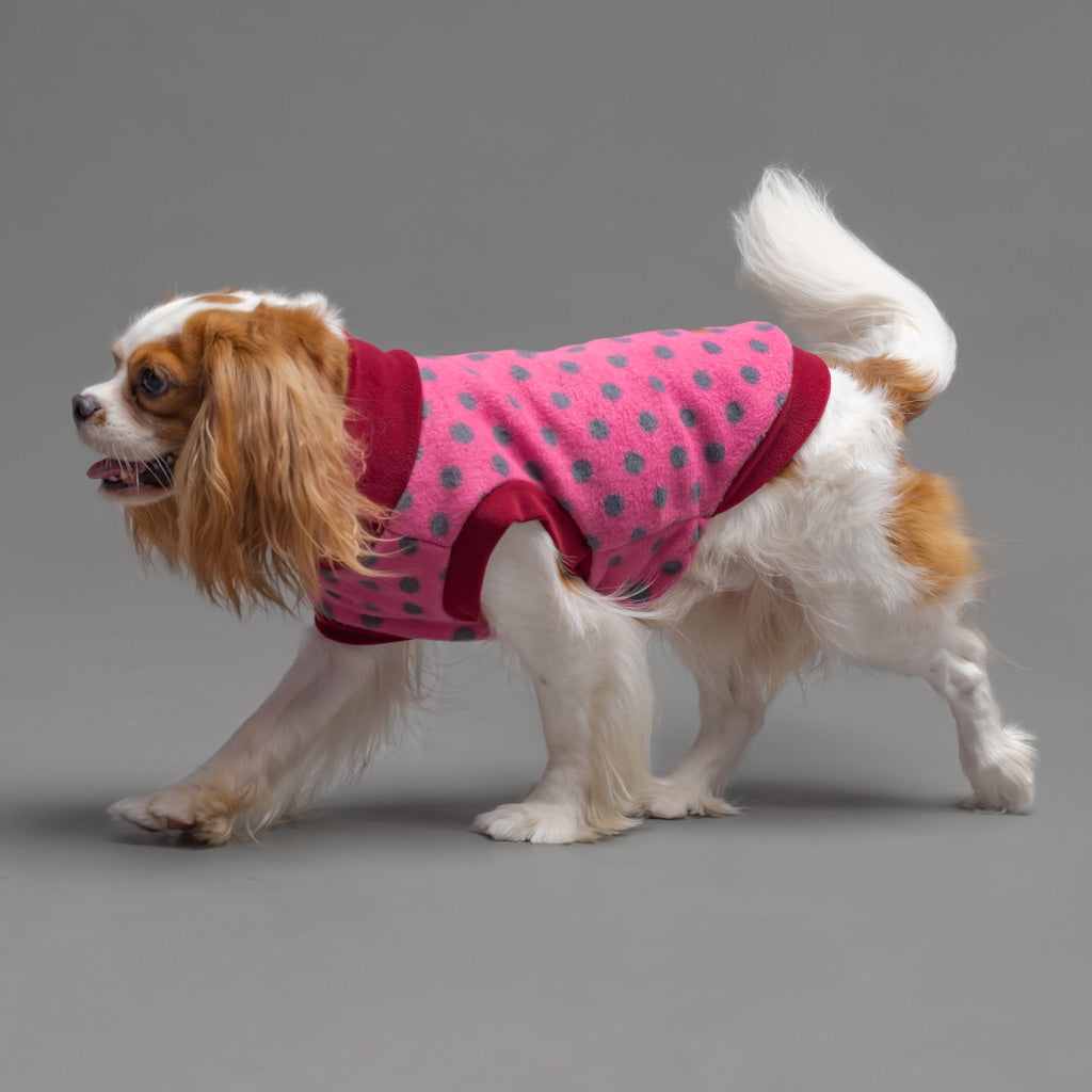 Winter Dog Turtleneck Sweater - Fitwarm Dog Clothes