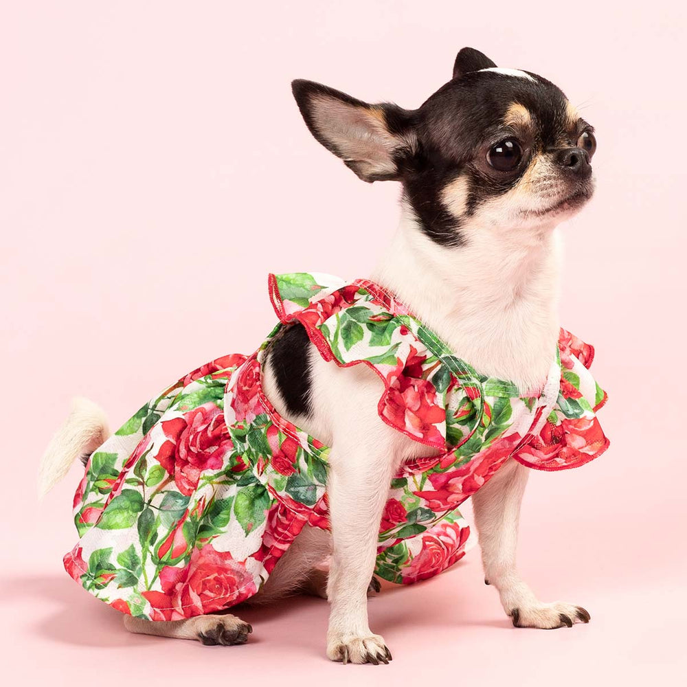 Charming Rose Dress for Dogs - Fitwarm Valentine Outfit