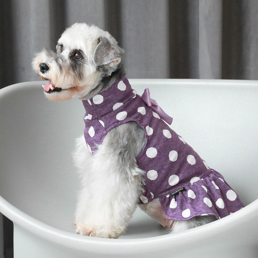 Schnauzer Dress - Schnauzer Clothes - Fitwarm 