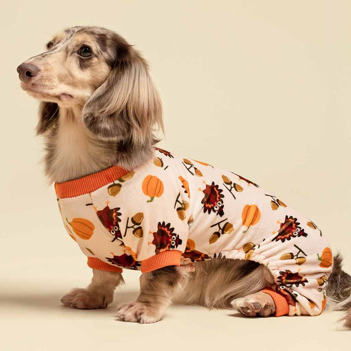 Funny Turkey Dog Onesie - Fitwarm Dog Pajamas