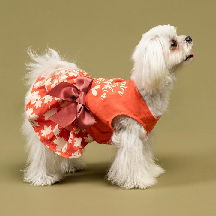 Thanksgiving Dog Dress - Fitwarm Dog Clothes