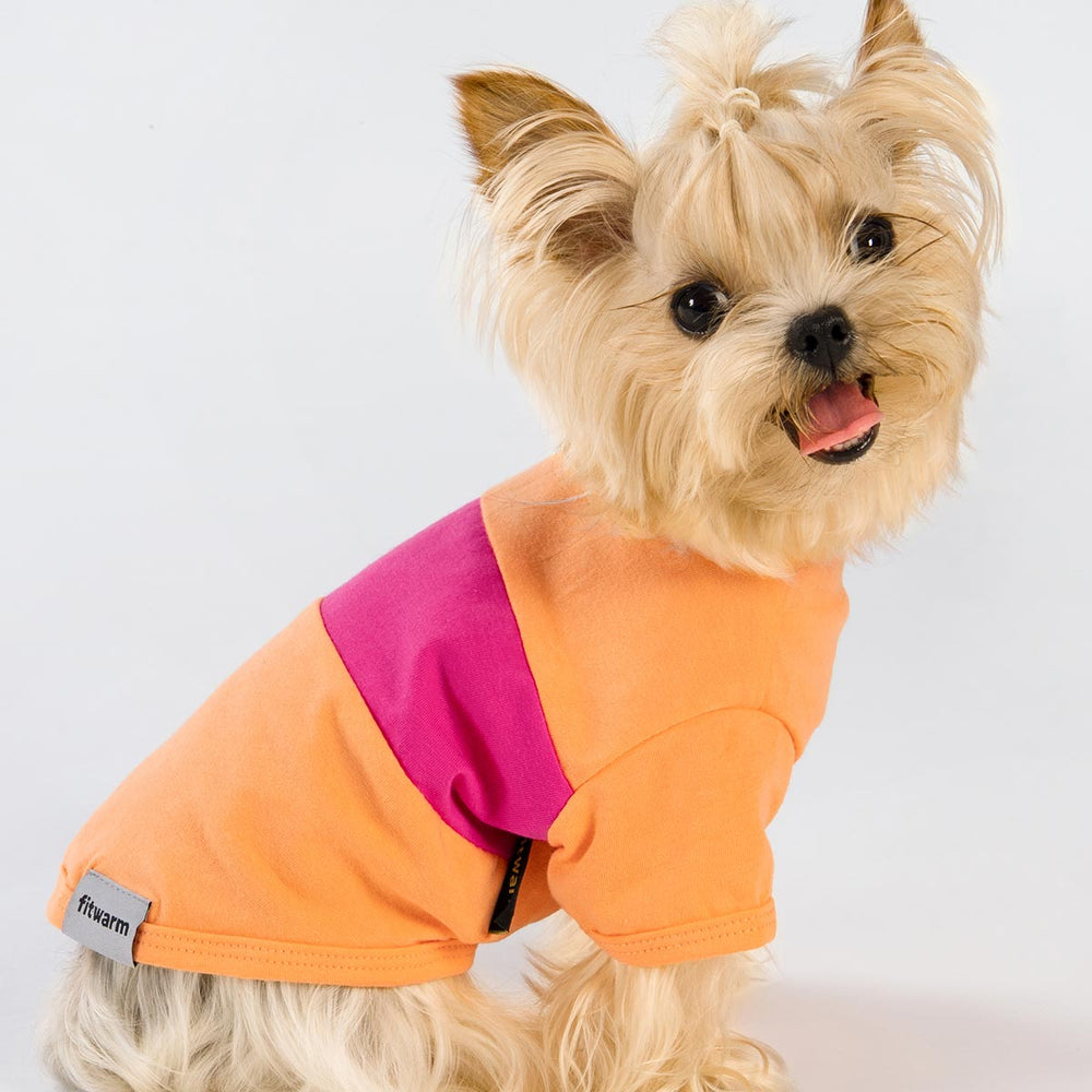 Yorkie in a Color Block Dog Shirt - Fitwarm Dog Clothes