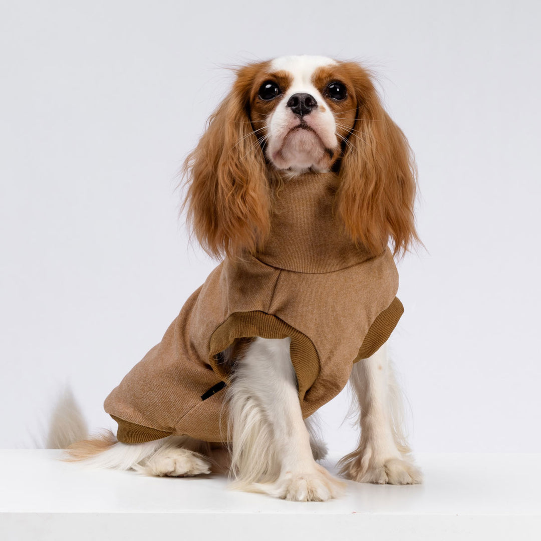 Cavalier King Charles Spaniel in a Cozy Fleece Winter Dog Sweater - Fitwarm Dog Clothes