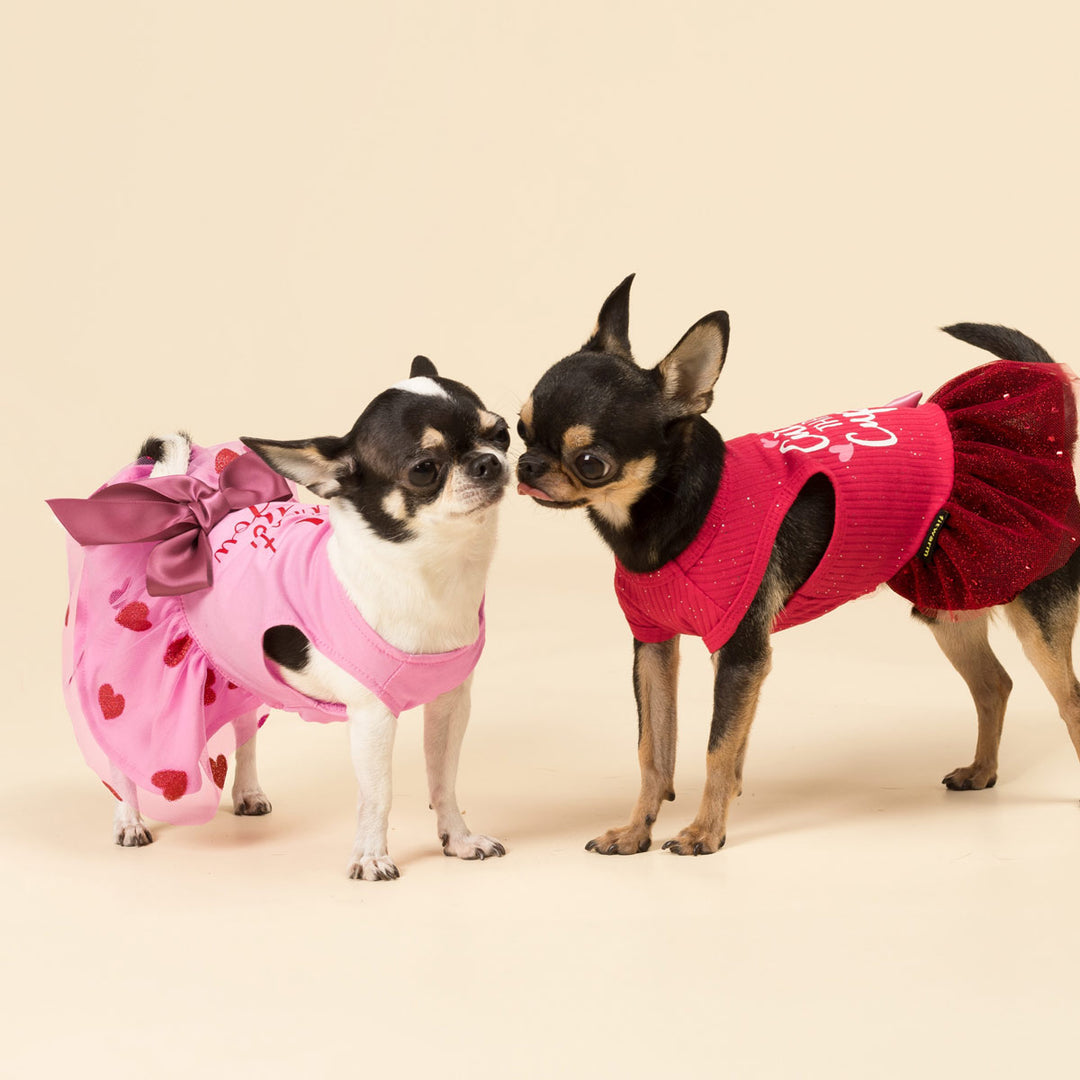 Sparkly Dog Valentine Dress - Fitwarm Dog Valentine Outfit