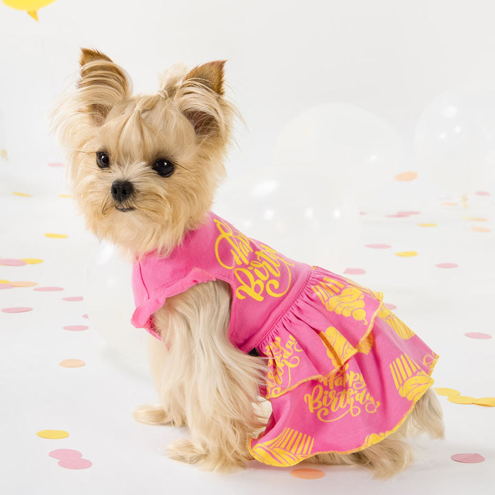 Cupcake Prints Tiered Dog Dress for Yorkie - Fitwarm Dog Clothes