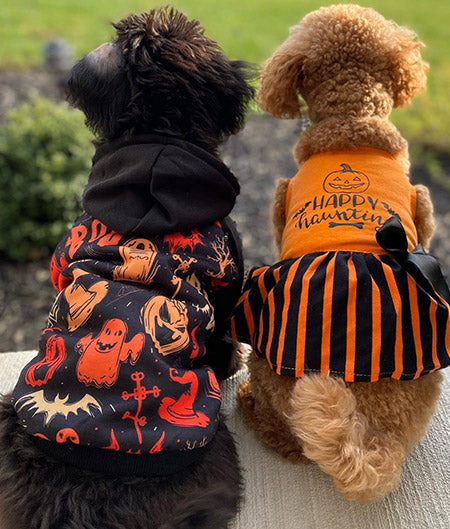 Halloween clothes 2024 for dogs