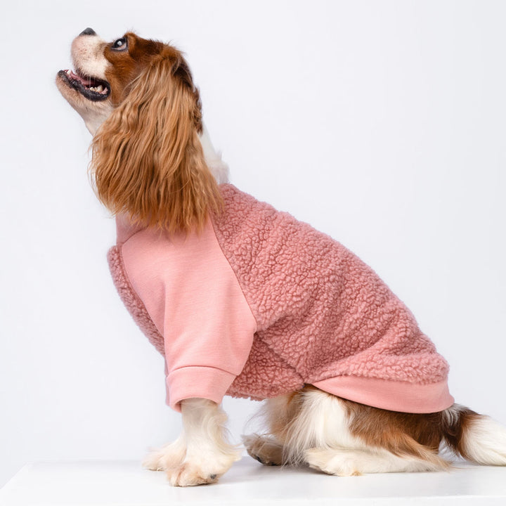 Fuzzy Winter Dog Sweater - Fitwarm Dog Clothes