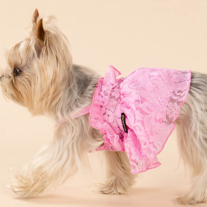 Yorkie in a Flower Lace Dog Dress - Fitwarm Dog Clothes