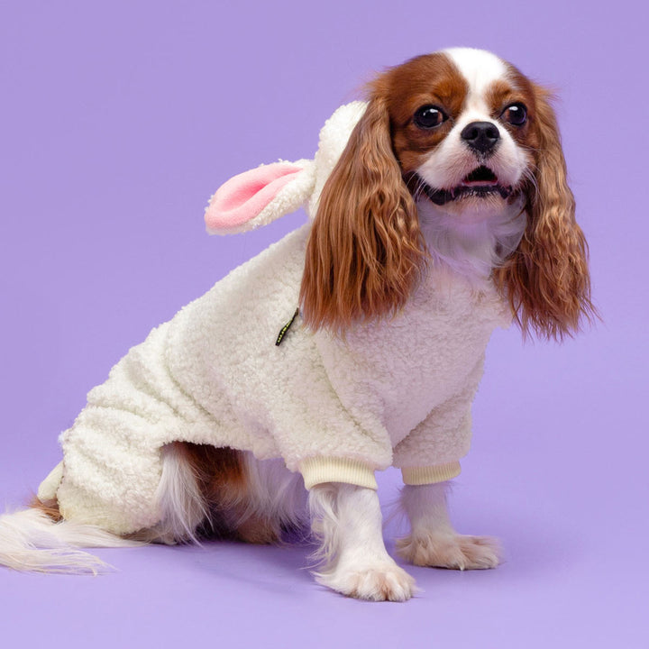 Adorable Animal Costume for Dogs - Fitwarm Dog Clothes